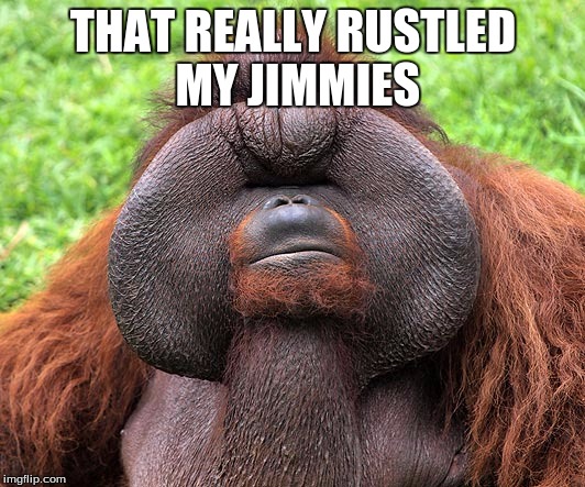 THAT REALLY RUSTLED MY JIMMIES | image tagged in major rustling | made w/ Imgflip meme maker