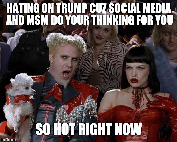 Mugatu So Hot Right Now Meme | HATING ON TRUMP CUZ SOCIAL MEDIA AND MSM DO YOUR THINKING FOR YOU SO HOT RIGHT NOW | image tagged in memes,mugatu so hot right now | made w/ Imgflip meme maker