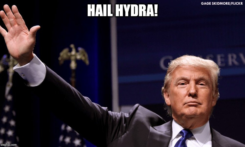Hail Hydra | HAIL HYDRA! | image tagged in hail hydra | made w/ Imgflip meme maker
