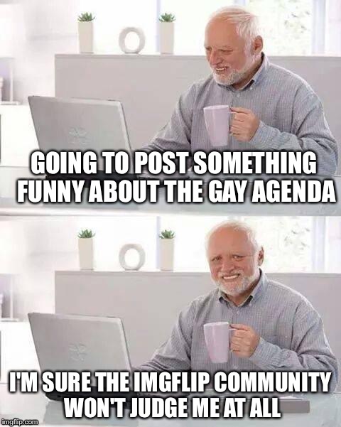 Harold is readying for pain | GOING TO POST SOMETHING FUNNY ABOUT THE GAY AGENDA; I'M SURE THE IMGFLIP COMMUNITY WON'T JUDGE ME AT ALL | image tagged in memes,hide the pain harold,gay | made w/ Imgflip meme maker