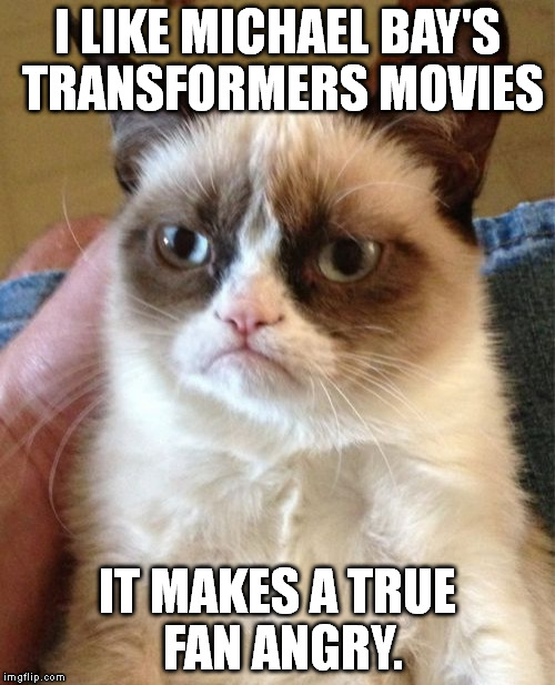 Grumpy Cat | I LIKE MICHAEL BAY'S TRANSFORMERS MOVIES; IT MAKES A TRUE FAN ANGRY. | image tagged in memes,grumpy cat | made w/ Imgflip meme maker