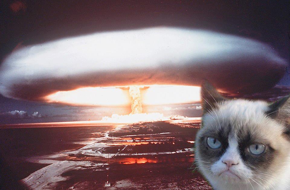 grumpy cat Blank Meme Template