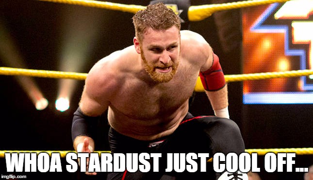 WHOA STARDUST JUST COOL OFF... | made w/ Imgflip meme maker