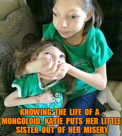 Mongoloid love | KNOWING  THE  LIFE  OF  A  MONGOLOID,  KATIE  PUTS  HER  LITTLE  SISTER  OUT  OF  HER  MISERY | image tagged in mongoloids,funny | made w/ Imgflip meme maker