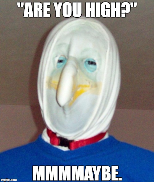 motherclucker | "ARE YOU HIGH?"; MMMMAYBE. | image tagged in motherclucker | made w/ Imgflip meme maker