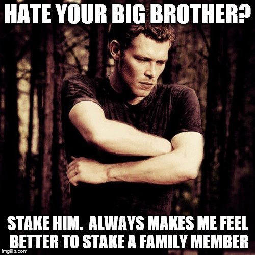 HATE YOUR BIG BROTHER? STAKE HIM. ALWAYS MAKES ME FEEL BETTER TO STAKE A FAMILY MEMBER | HATE YOUR BIG BROTHER? STAKE HIM.  ALWAYS MAKES ME FEEL BETTER TO STAKE A FAMILY MEMBER | image tagged in klaus 16 | made w/ Imgflip meme maker