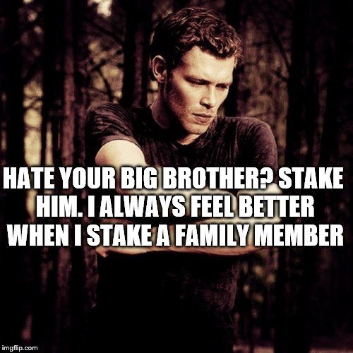 Klaus 16 | HATE YOUR BIG BROTHER? STAKE HIM. I ALWAYS FEEL BETTER WHEN I STAKE A FAMILY MEMBER | image tagged in klaus 16 | made w/ Imgflip meme maker