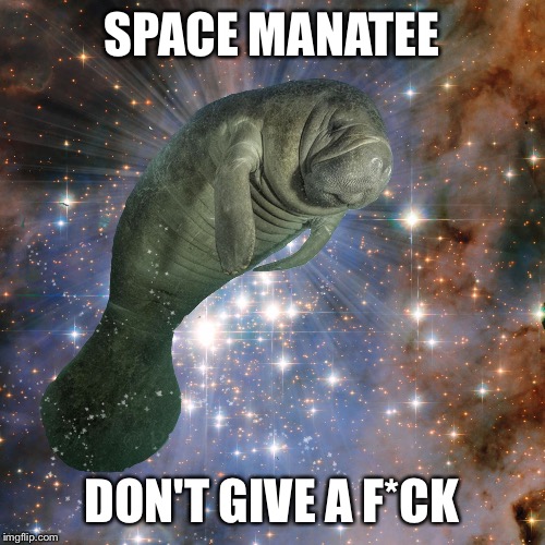 Space Manatee | SPACE MANATEE; DON'T GIVE A F*CK | image tagged in space manatee | made w/ Imgflip meme maker