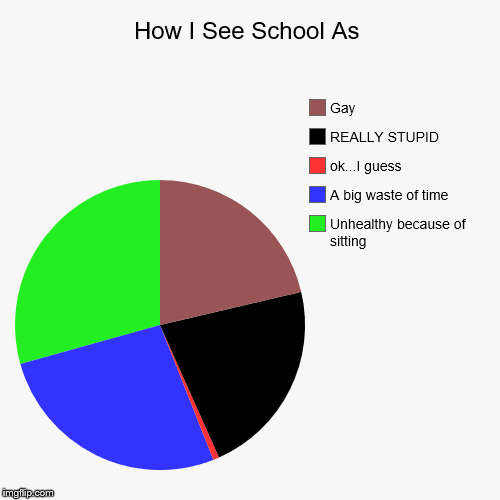 School meme | image tagged in funny,pie charts,school | made w/ Imgflip chart maker