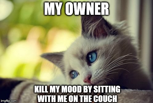 So true | MY OWNER; KILL MY MOOD BY SITTING WITH ME ON THE COUCH | image tagged in memes,first world problems cat,sad,cat meme | made w/ Imgflip meme maker