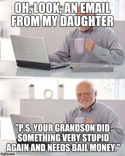 Hide the Pain Harold Meme | OH, LOOK, AN EMAIL FROM MY DAUGHTER; "P.S. YOUR GRANDSON DID SOMETHING VERY STUPID AGAIN AND NEEDS BAIL MONEY." | image tagged in memes,hide the pain harold | made w/ Imgflip meme maker