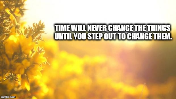 Yellow nature | TIME WILL NEVER CHANGE THE THINGS UNTIL YOU STEP OUT TO CHANGE THEM. | image tagged in yellow nature | made w/ Imgflip meme maker