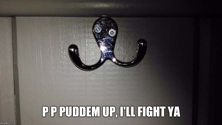 Drunk octopus wants a fight | P P PUDDEM UP, I'LL FIGHT YA | image tagged in drunk octopus wants a fight,octopus,drunk,fight,boxing | made w/ Imgflip meme maker