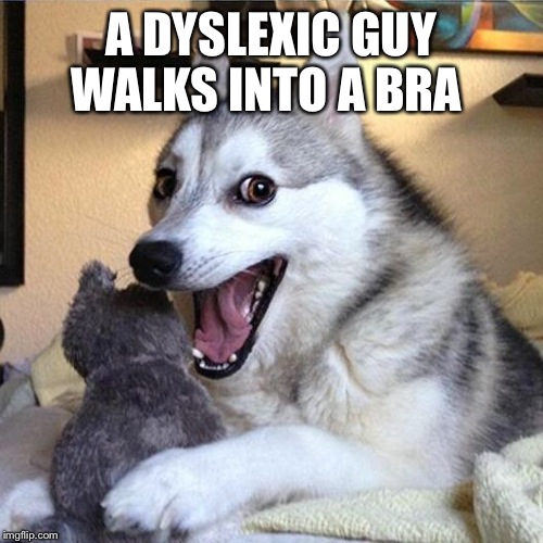 Not Sure What Size Cup It Was  | A DYSLEXIC GUY WALKS INTO A BRA | image tagged in bad pun dog | made w/ Imgflip meme maker