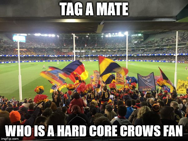 TAG A MATE; WHO IS A HARD CORE CROWS FAN | image tagged in crows | made w/ Imgflip meme maker