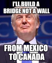 Building bridges not walls |  I'LL BUILD A BRIDGE NOT A WALL; FROM MEXICO TO CANADA | image tagged in donald trump | made w/ Imgflip meme maker