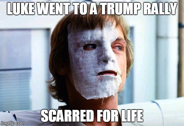 Luke Skywalker is for the good side of the force, so he MUST BE FOR BERNIE IN 2016! | LUKE WENT TO A TRUMP RALLY; SCARRED FOR LIFE | image tagged in star wars,luke skywalker,bernie sanders,donald trump,hitler,nazi | made w/ Imgflip meme maker