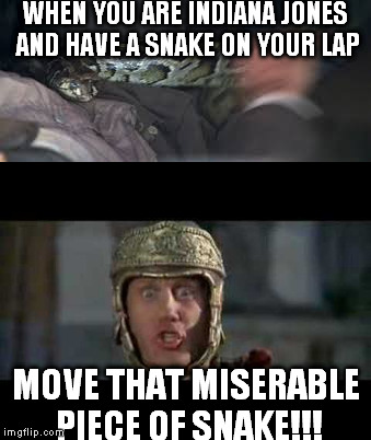 When you got to move your snake | WHEN YOU ARE INDIANA JONES AND HAVE A SNAKE ON YOUR LAP; MOVE THAT MISERABLE PIECE OF SNAKE!!! | image tagged in memes,snake,snakes,move that miserable piece of shit,indiana jones,movie | made w/ Imgflip meme maker