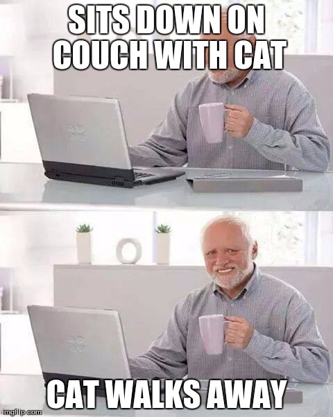Hide the Pain Harold Meme | SITS DOWN ON COUCH WITH CAT; CAT WALKS AWAY | image tagged in memes,hide the pain harold | made w/ Imgflip meme maker