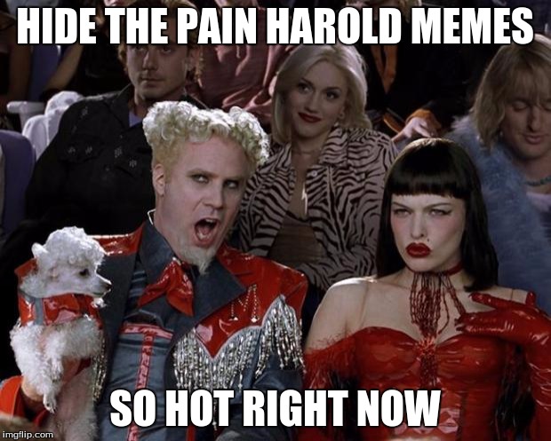 Mugatu So Hot Right Now | HIDE THE PAIN HAROLD MEMES; SO HOT RIGHT NOW | image tagged in memes,mugatu so hot right now | made w/ Imgflip meme maker