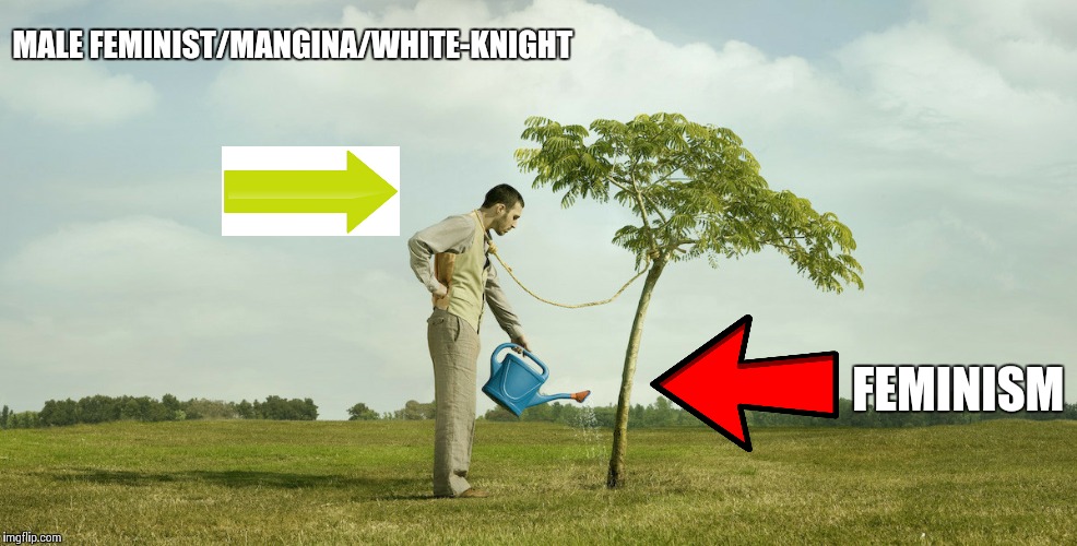 MALE FEMINIST/MANGINA/WHITE-KNIGHT; FEMINISM | image tagged in signing your own death warrant | made w/ Imgflip meme maker