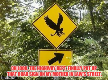 (Witch) way ? | OH LOOK, THE HIGHWAY DEPT. FINALLY PUT UP THAT ROAD SIGN ON MY MOTHER IN LAW'S STREET. | image tagged in flying monkeys,witch | made w/ Imgflip meme maker