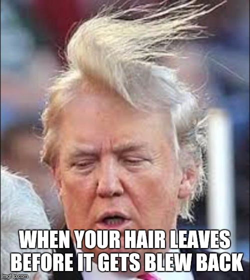 Trump Hair | WHEN YOUR HAIR LEAVES BEFORE IT GETS BLEW BACK | image tagged in trump hair | made w/ Imgflip meme maker