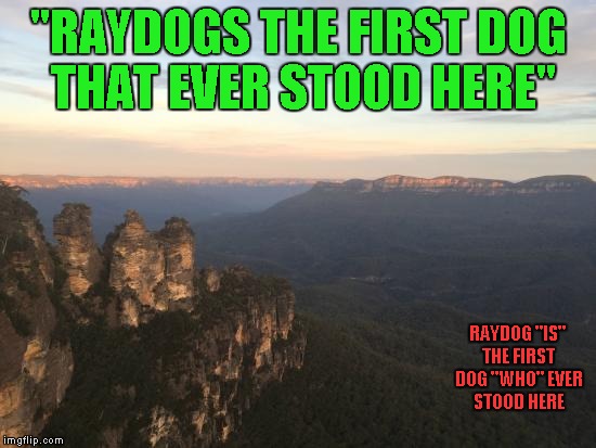 Welcome to Grammar Nazi Echo Point. | "RAYDOGS THE FIRST DOG THAT EVER STOOD HERE"; RAYDOG "IS" THE FIRST DOG "WHO" EVER STOOD HERE | image tagged in echo point,memes,grammar nazi,grammar nazi echo point,funny,echos | made w/ Imgflip meme maker