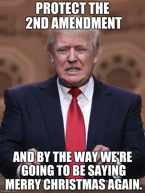 Donald Trump | PROTECT THE 2ND AMENDMENT; AND BY THE WAY WE'RE GOING TO BE SAYING MERRY CHRISTMAS AGAIN. | image tagged in donald trump | made w/ Imgflip meme maker
