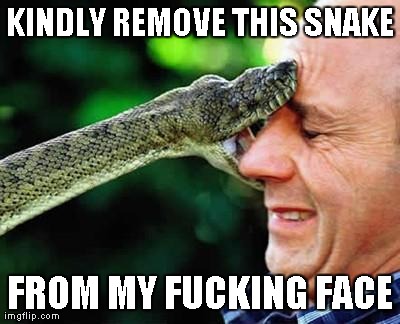 image tagged in funny,snakes | made w/ Imgflip meme maker
