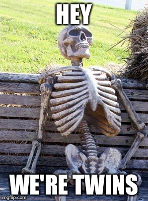 Waiting Skeleton Meme | HEY WE'RE TWINS | image tagged in memes,waiting skeleton | made w/ Imgflip meme maker