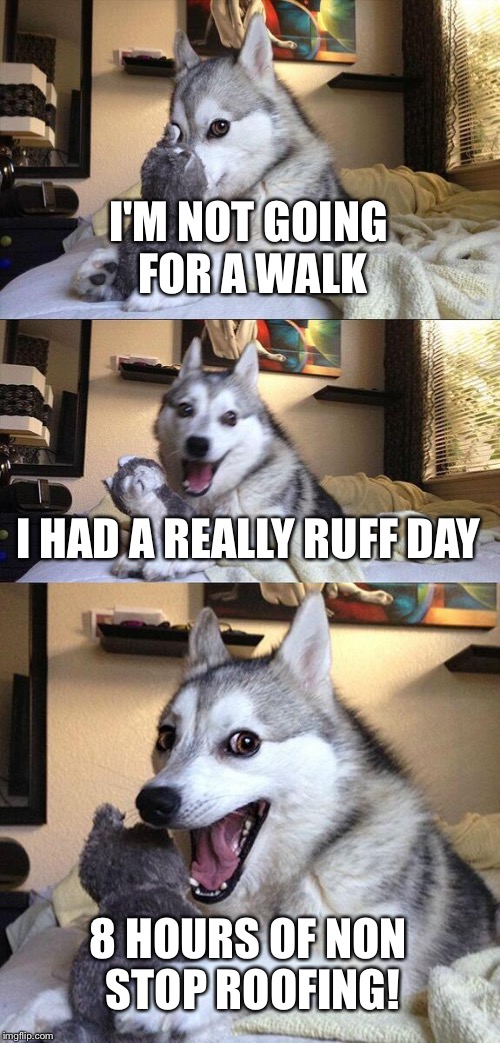 Bad Pun Dog Meme | I'M NOT GOING FOR A WALK; I HAD A REALLY RUFF DAY; 8 HOURS OF NON STOP ROOFING! | image tagged in memes,bad pun dog | made w/ Imgflip meme maker