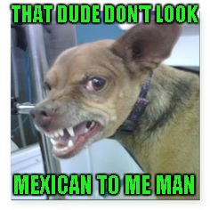 THAT DUDE DON'T LOOK MEXICAN TO ME MAN | made w/ Imgflip meme maker