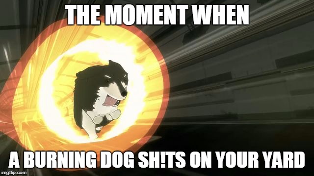 rwby | THE MOMENT WHEN; A BURNING DOG SH!TS ON YOUR YARD | image tagged in rwby,memes | made w/ Imgflip meme maker