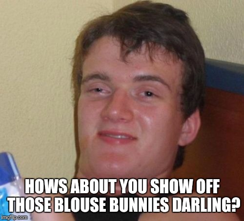 10 Guy Meme | HOWS ABOUT YOU SHOW OFF THOSE BLOUSE BUNNIES DARLING? | image tagged in memes,10 guy | made w/ Imgflip meme maker