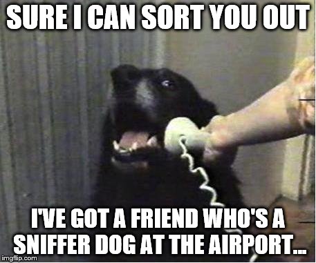 Yes this is dog | SURE I CAN SORT YOU OUT; I'VE GOT A FRIEND WHO'S A SNIFFER DOG AT THE AIRPORT... | image tagged in yes this is dog,memes | made w/ Imgflip meme maker