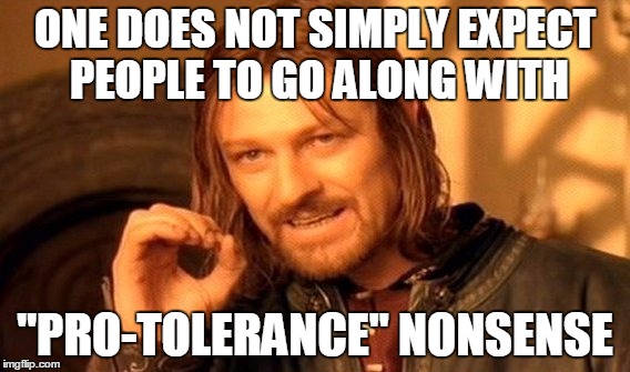 One Does Not Simply Meme | ONE DOES NOT SIMPLY EXPECT PEOPLE TO GO ALONG WITH "PRO-TOLERANCE" NONSENSE | image tagged in memes,one does not simply | made w/ Imgflip meme maker