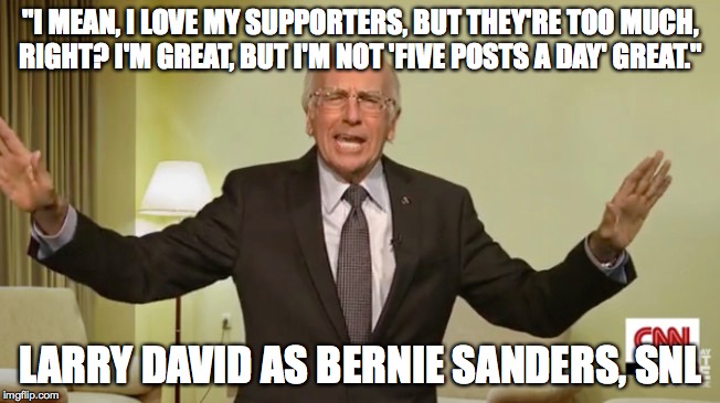 "I MEAN, I LOVE MY SUPPORTERS, BUT THEY'RE TOO MUCH, RIGHT? I'M GREAT, BUT I'M NOT 'FIVE POSTS A DAY' GREAT."; LARRY DAVID AS BERNIE SANDERS, SNL | image tagged in bernie sanders,larry david,snl,bernie bros,hillary clinton,facebook | made w/ Imgflip meme maker