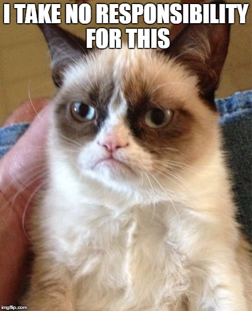 Grumpy Cat Meme | I TAKE NO RESPONSIBILITY FOR THIS | image tagged in memes,grumpy cat | made w/ Imgflip meme maker