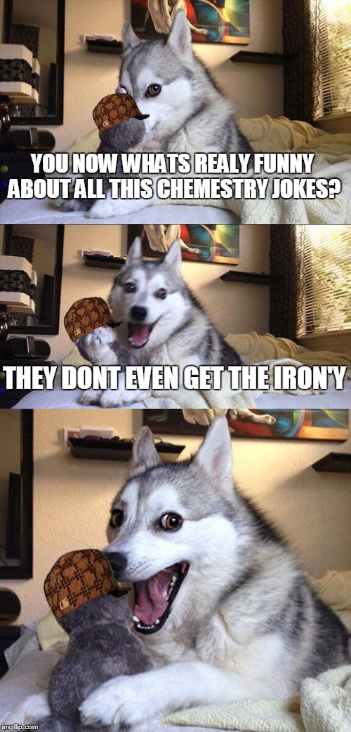 Bad Pun Dog Meme | YOU NOW WHATS REALY FUNNY ABOUT ALL THIS CHEMESTRY JOKES? THEY DONT EVEN GET THE IRON'Y | image tagged in memes,bad pun dog,scumbag | made w/ Imgflip meme maker