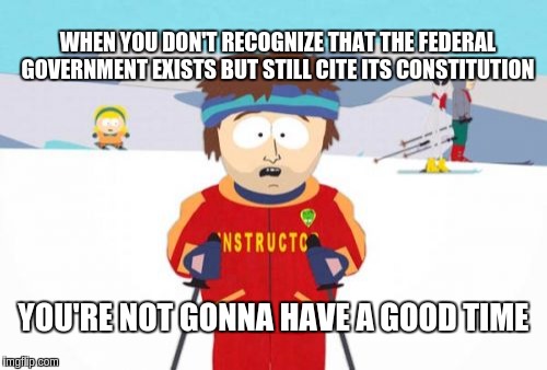 Super Cool Ski Instructor | WHEN YOU DON'T RECOGNIZE THAT THE FEDERAL GOVERNMENT EXISTS BUT STILL CITE ITS CONSTITUTION; YOU'RE NOT GONNA HAVE A GOOD TIME | image tagged in memes,super cool ski instructor | made w/ Imgflip meme maker