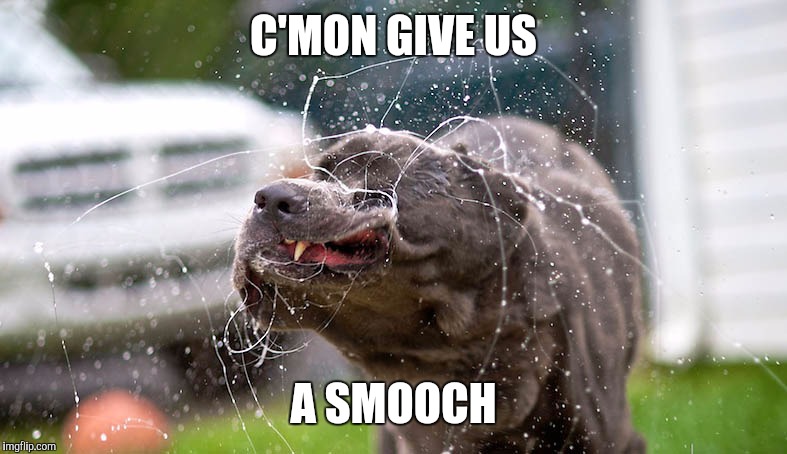 C'MON GIVE US A SMOOCH | made w/ Imgflip meme maker