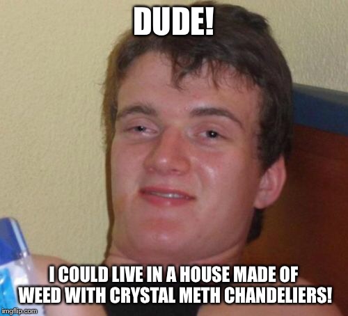 10 Guy Meme | DUDE! I COULD LIVE IN A HOUSE MADE OF WEED WITH CRYSTAL METH CHANDELIERS! | image tagged in memes,10 guy | made w/ Imgflip meme maker