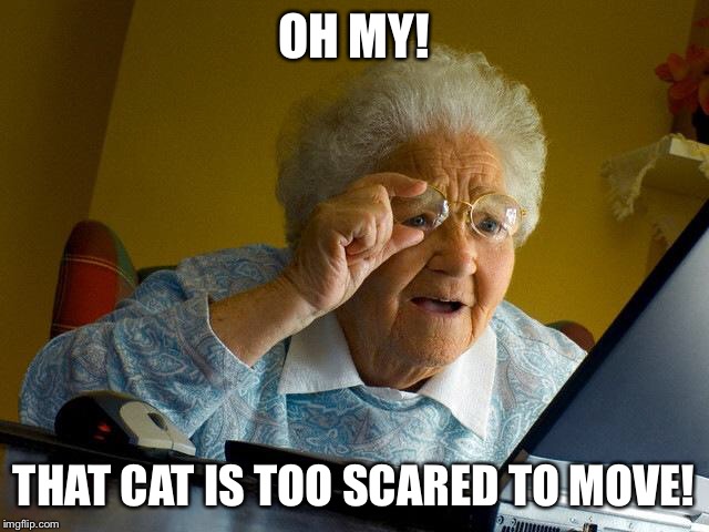 Grandma Finds The Internet Meme | OH MY! THAT CAT IS TOO SCARED TO MOVE! | image tagged in memes,grandma finds the internet | made w/ Imgflip meme maker