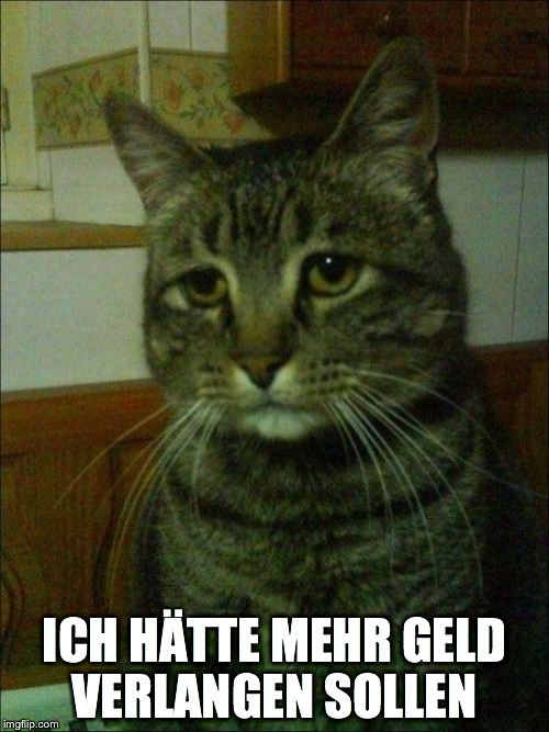 Depressed Cat Meme | ICH HÄTTE MEHR GELD VERLANGEN SOLLEN | image tagged in memes,depressed cat | made w/ Imgflip meme maker