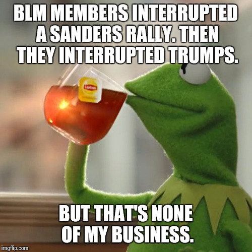 But That's None Of My Business | BLM MEMBERS INTERRUPTED A SANDERS RALLY. THEN THEY INTERRUPTED TRUMPS. BUT THAT'S NONE OF MY BUSINESS. | image tagged in memes,but thats none of my business,kermit the frog,AdviceAnimals | made w/ Imgflip meme maker