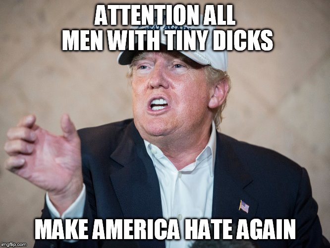 Donald Trump Can't Answer | ATTENTION ALL MEN WITH TINY DICKS; MAKE AMERICA HATE AGAIN | image tagged in donald trump can't answer | made w/ Imgflip meme maker