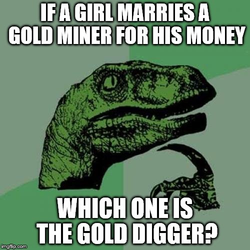Philosoraptor Meme | IF A GIRL MARRIES A GOLD MINER FOR HIS MONEY; WHICH ONE IS THE GOLD DIGGER? | image tagged in memes,philosoraptor | made w/ Imgflip meme maker