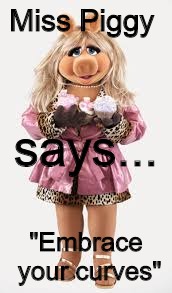 The Muppets  Miss Piggy | Miss Piggy; says... "Embrace your curves" | image tagged in bbw,the muppets | made w/ Imgflip meme maker