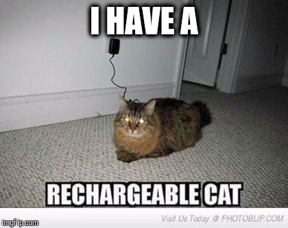 Out of energy? | I HAVE A | image tagged in rechargeable cat,memes,funny,cats,mems | made w/ Imgflip meme maker